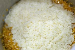 ven pongal-add-rice