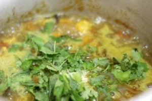 adding chopped coriander and mint leaves